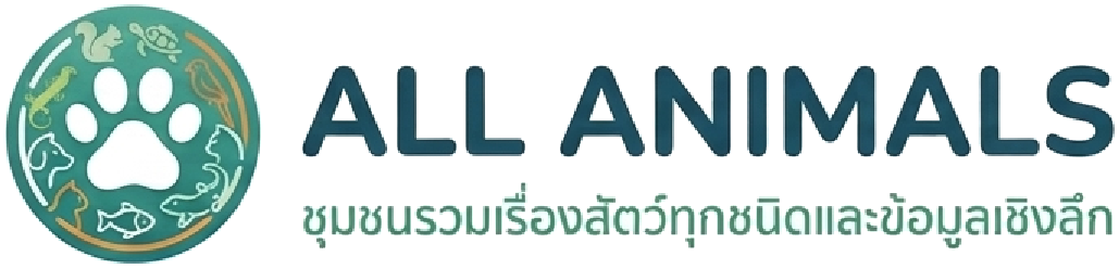 All Animals Club
